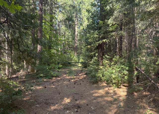 Property at 11725 Phelps Hill Rd, Nevada City, CA 95959