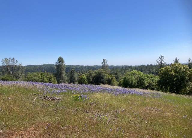 Property at 16688 Sonshine Ln, Sutter Creek, CA 95685