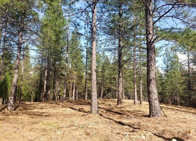 Property at 0 - Lot 1 Harkness St, Georgetown, CA 95634