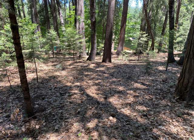 Property at 3580 Gold Ridge Trl, Pollock Pines, CA 95726