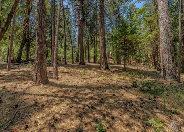 Property at 16896 S Silver Dr, Pioneer, CA 95666