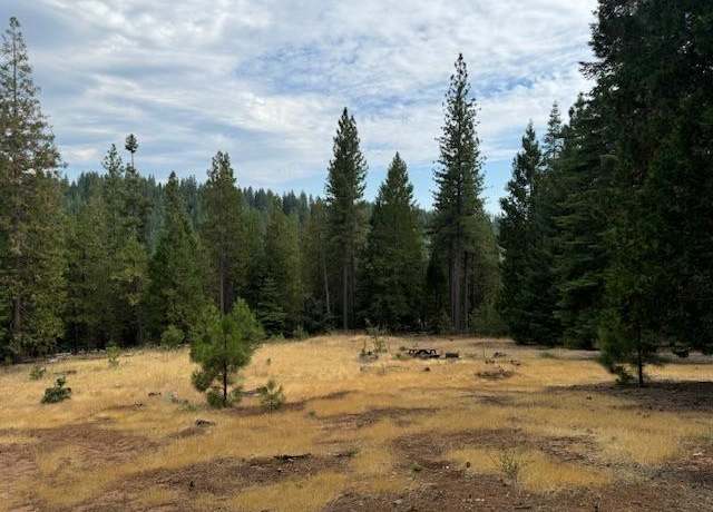 Property at 27488 Shake Ridge Rd, Volcano, CA 95689