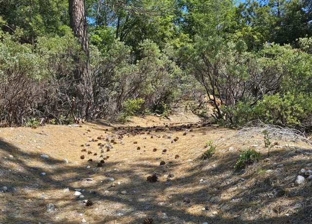 Property at 13091 Sailor Flat Rd, Nevada City, CA 95959