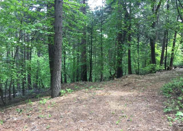 Property at 4220 Pegasus Trl, Pollock Pines, CA 95726