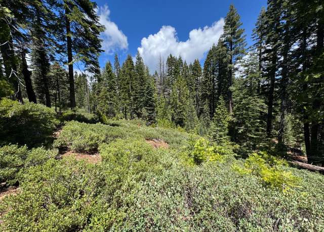 Property at 3005 Sprucewood Ln, Strawberry Valley, CA 95981