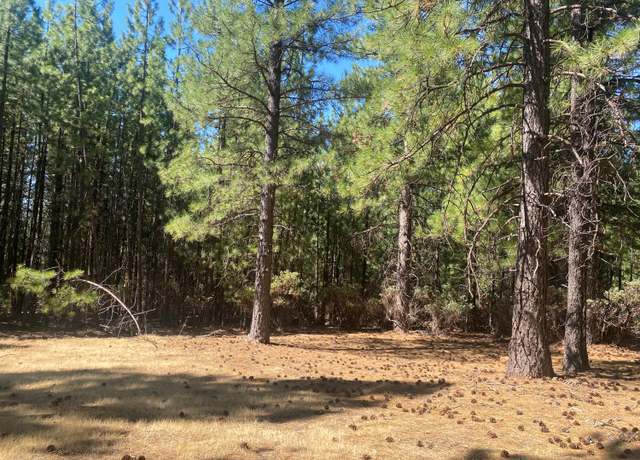 Property at 0 Wildrose Dr, Grizzly Flats, CA 95636