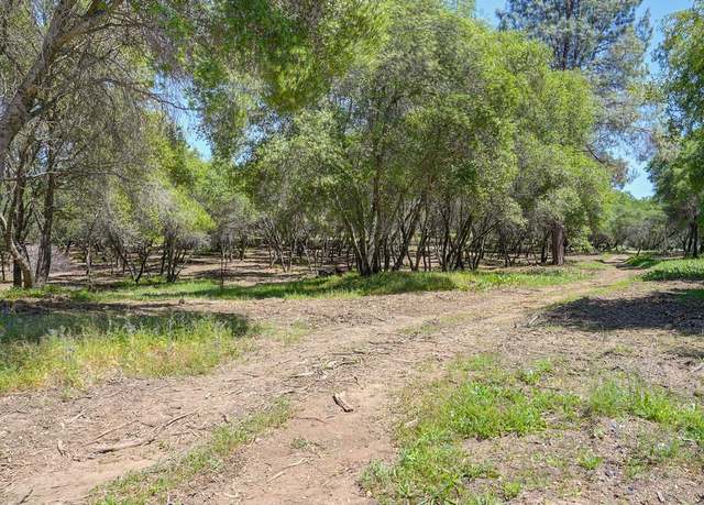 Property at 10650 Werner Rd, Auburn, CA 95603