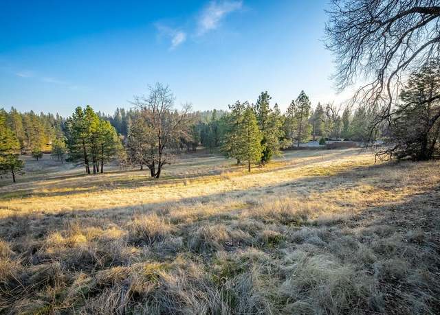 Property at 20793 Todd Valley Rd, Foresthill, CA 95631