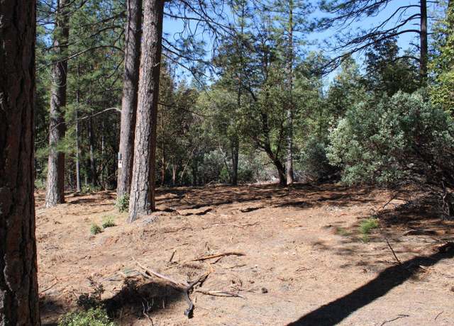 Property at 3651 Dogwood Ln, Placerville, CA 95667