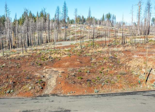 Property at 5293 Wooded Glen Rd, Grizzly Flats, CA 95636