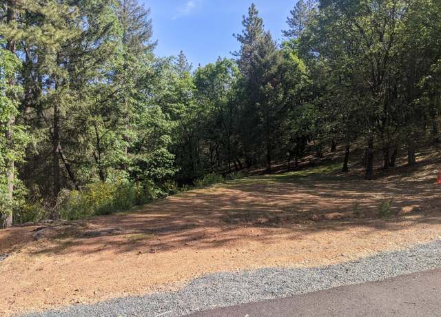 Property at 1 Eden Forest Dr, Colfax, CA 95713