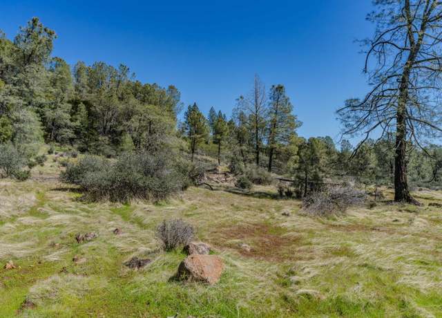 Property at 0 Carson Dr, Pioneer, CA 95666