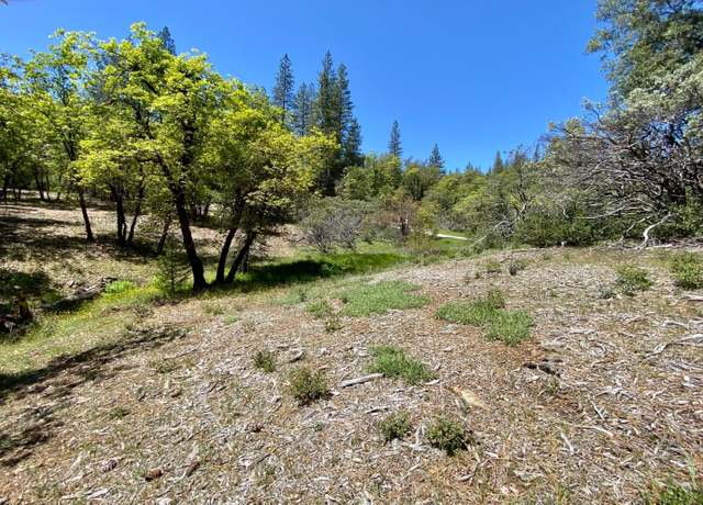 Property at 16855 Red Dog Rd, Nevada City, CA 95959
