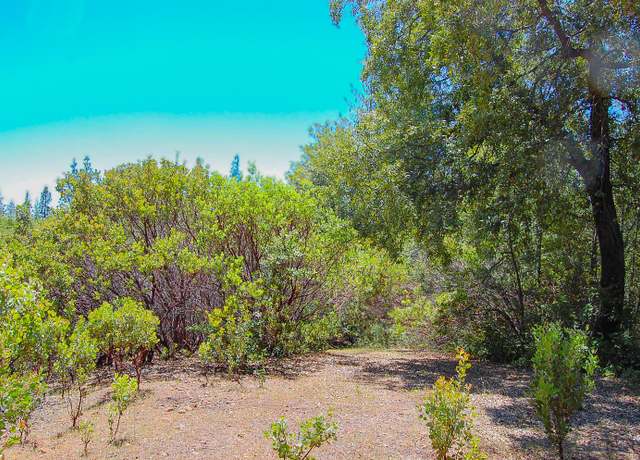 Property at 14515 Manzanita Rd, Sutter Creek, CA 95685