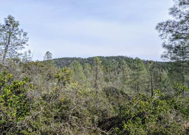 Property at 2080 Daffodil, Georgetown, CA 95634