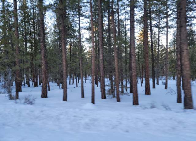 Property at 0 Saddleback, Alturas, CA 96101
