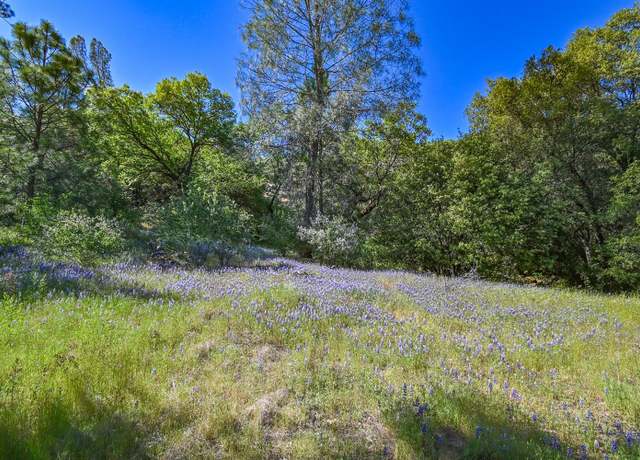 Property at 6412 Mt. Aukum Rd, Somerset, CA 95684