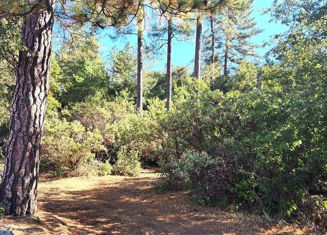 Property at 10550 Tabeaud Rd, Pine Grove, CA 95665