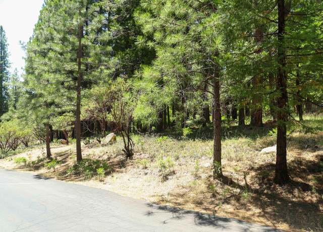 Property at 0 Rainbow Trl, Pollock Pines, CA 95726