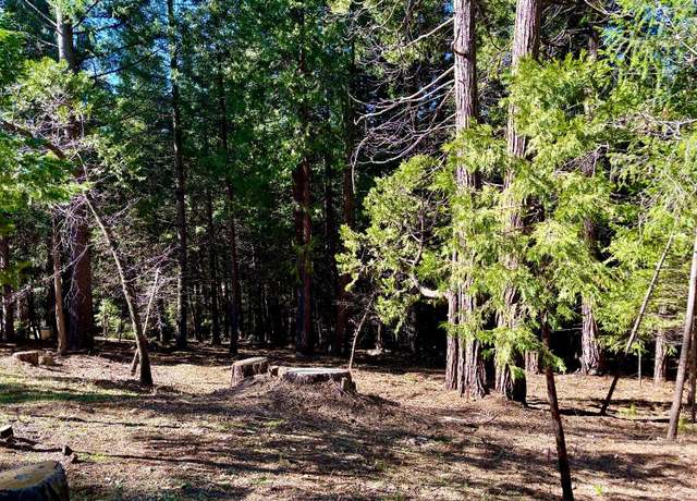 Property at 0 Park Woods Dr, Pollock Pines, CA 95726