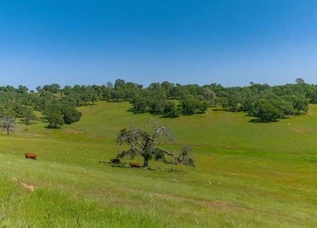 Property at 0 Mace Ln, Ione, CA 95640