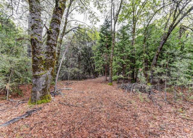 Property at 14481 Bobbie Ln, Pioneer, CA 95666
