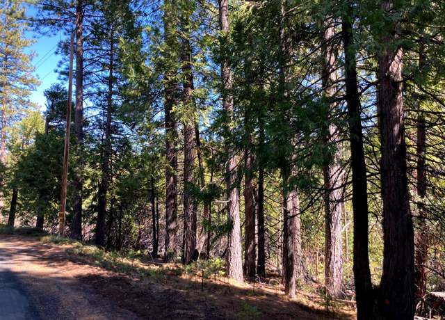 Property at 26584 Spring Rd, Pioneer, CA 95666