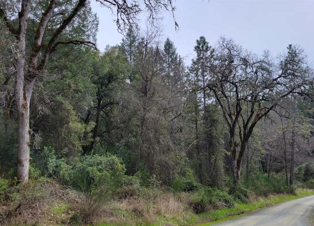 Property at 3291 Stage Trail Rd, Greenwood, CA 95635