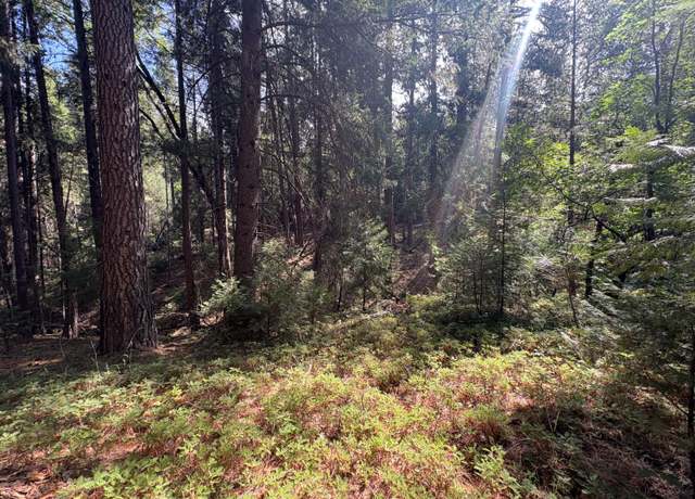 Property at 5483 Poor Mans Way, Wilseyville, CA 95257