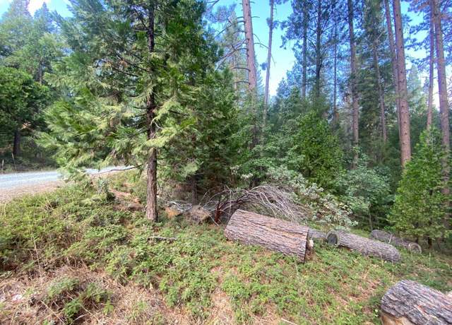 Property at 5483 Poor Mans Way, Wilseyville, CA 95257