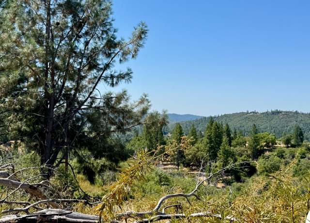 Property at 9055 Rodesino Rd, Mountain Ranch, CA 95246