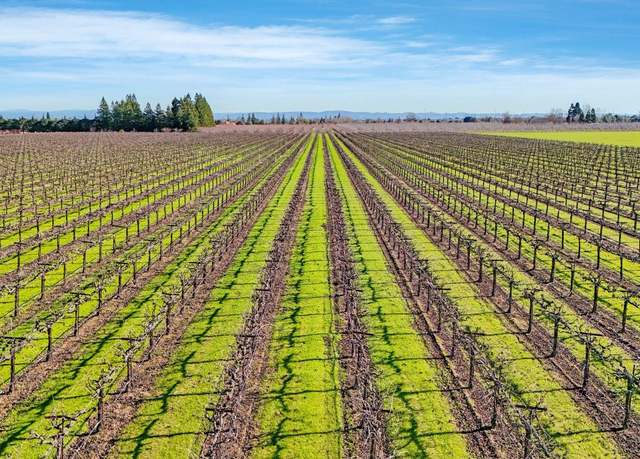 Property at 16300 N Tretheway, Lodi, CA 95240