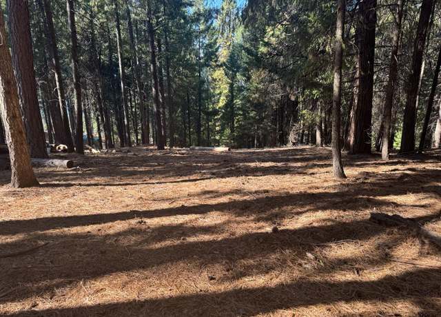 Property at 5497 Pine Ridge Dr, Grizzly Flats, CA 95636
