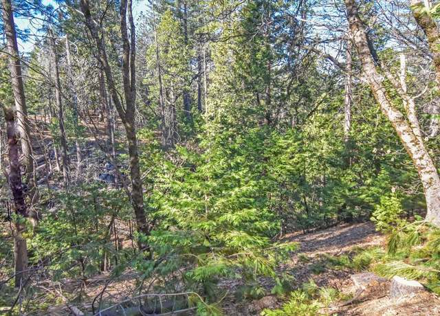 Property at 24184 Awahanee Rd, Sonora, CA 95370
