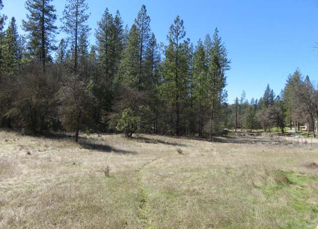 Property at 79 Black Oak Dr, Rail Road Flat, CA 95245