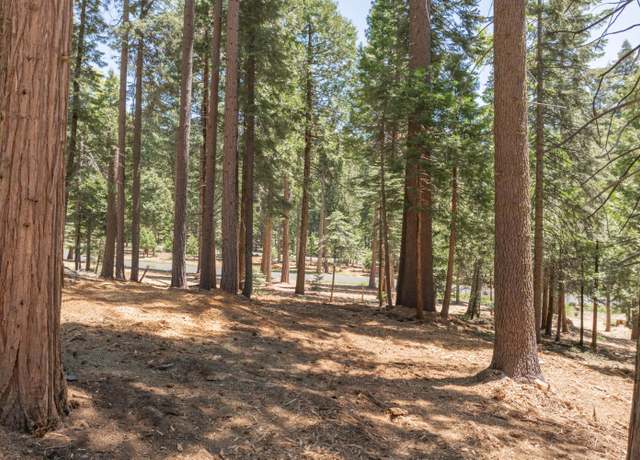 Property at 3043 Shoshone Dr, Camp Connell, CA 95223