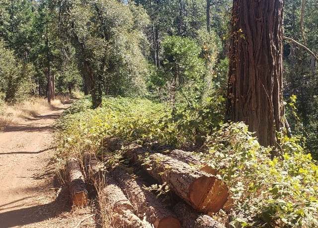 Property at 0 Gold Creek Trl, Volcano, CA 95689
