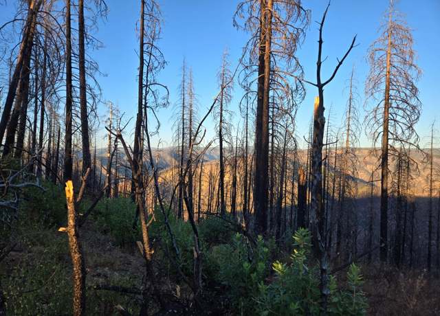 Property at 4381 Volcanoville Rd, Georgetown, CA 95634