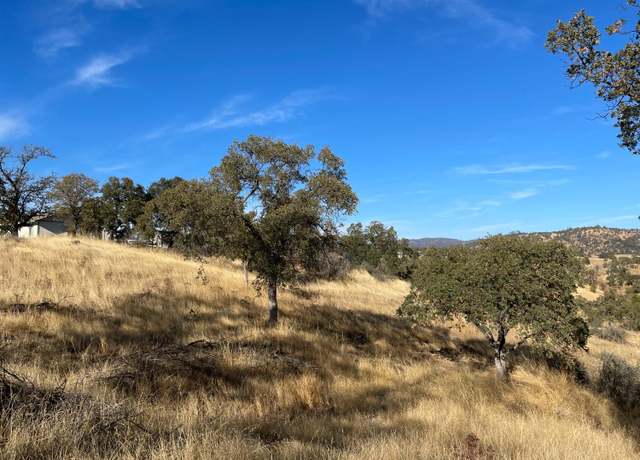 Property at 0 Buena Vista Dr, La Grange, CA 95329
