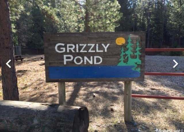 Property at 5055 Parkside Dr, Grizzly Flats, CA 95636