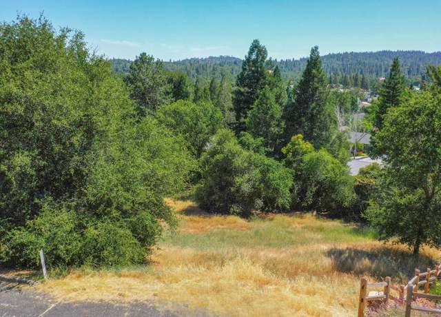 Property at 279 Wyldewood Dr, Murphys, CA 95247
