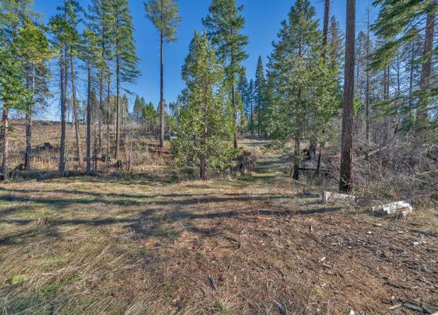Property at 4684 Sciaroni Rd, Grizzly Flats, CA 95636