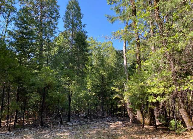 Property at 13100 Trio Ct, Grass Valley, CA 95945