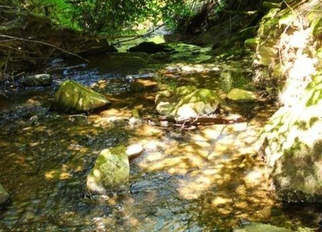 Property at 46 Ringtail Rd, Georgetown, CA 95634