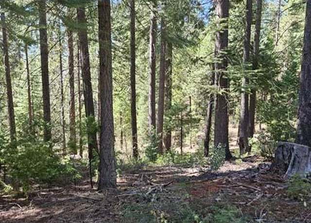 Property at 2 Indian Diggins Rd, Somerset, CA 95684