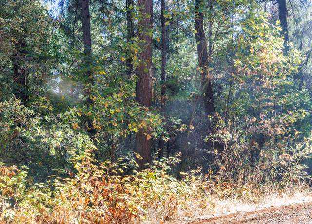 Property at 4293 Glory Hole Dr, Camino, CA 95709