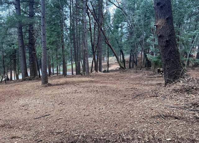 Property at 0 Oregon Trail Rd, Georgetown, CA 95634