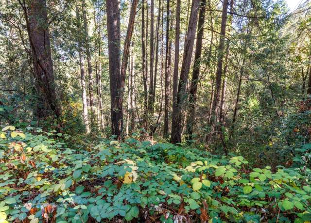 Property at 20 - Lot # Glory Hole Dr, Camino, CA 95709