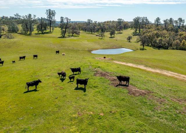 Property at 13012 Highway 124, Ione, CA 95640