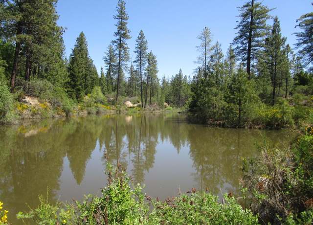 Property at 16289 Badger Hill Rd, Nevada City, CA 95959
